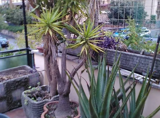 Frühstückspension Aloe